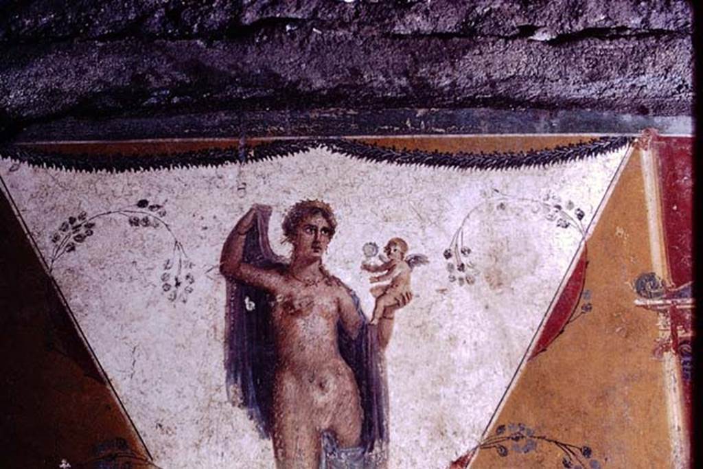 IX.13.1-3 Pompeii. 1972. Room 17, detail of painted figure from west wall. Photo by Stanley A. Jashemski.
Source: The Wilhelmina and Stanley A. Jashemski archive in the University of Maryland Library, Special Collections (See collection page) and made available under the Creative Commons Attribution-Non Commercial License v.4. See Licence and use details. J72f0458