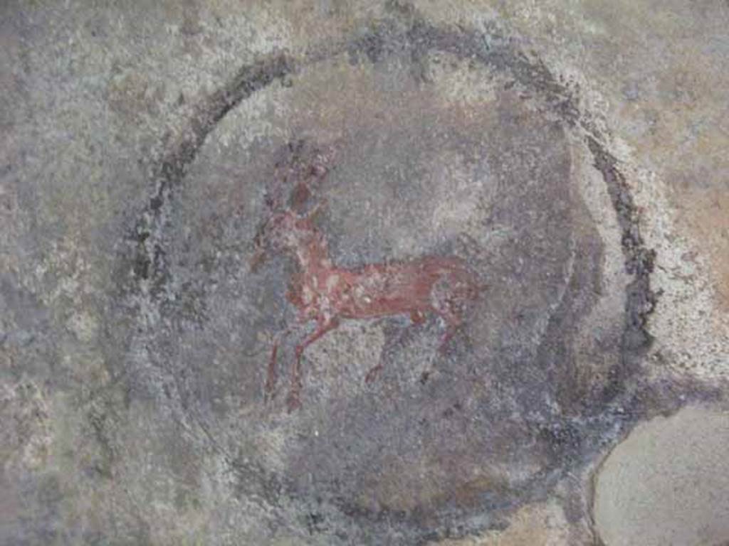 IX.13.1-3 Pompeii. May 2010. Room 22, painted medallion of deer on west wall.