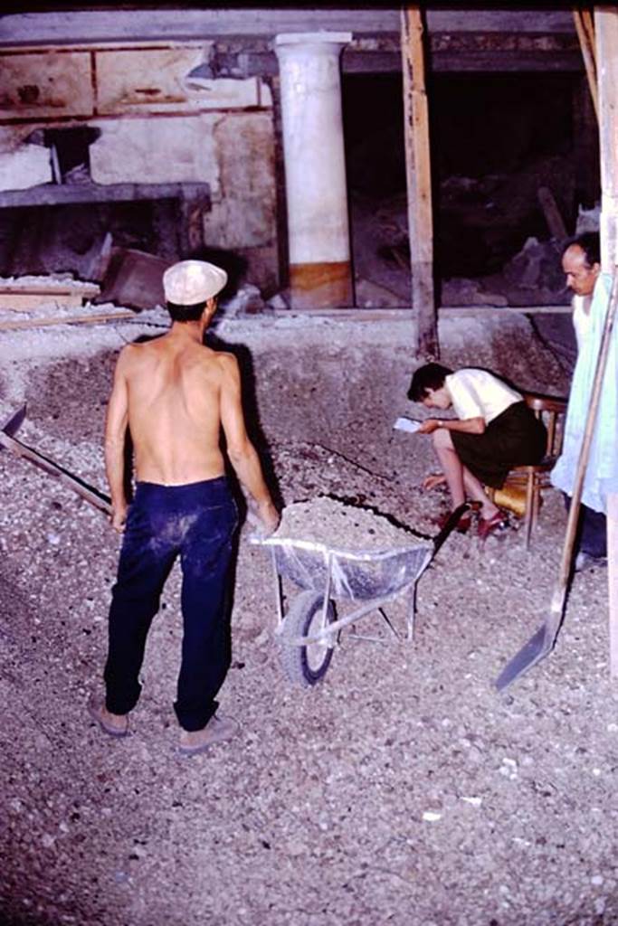 IX.13.1-3 Pompeii, 1973. Wilhelmina checking for a discovery. Photo by Stanley A. Jashemski.
Source: The Wilhelmina and Stanley A. Jashemski archive in the University of Maryland Library, Special Collections (See collection page) and made available under the Creative Commons Attribution-Non Commercial License v.4. See Licence and use details. J73f0228