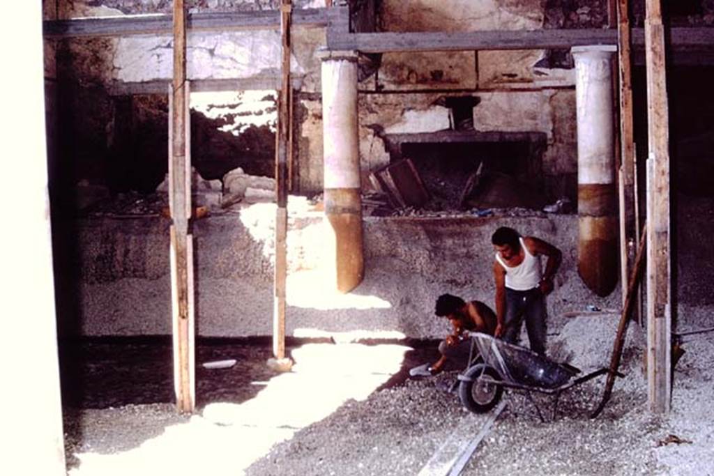 IX.13.1-3 Pompeii, 1973. Careful examinations in north-east corner of peristyle area.
Photo by Stanley A. Jashemski.
Source: The Wilhelmina and Stanley A. Jashemski archive in the University of Maryland Library, Special Collections (See collection page) and made available under the Creative Commons Attribution-Non Commercial License v.4. See Licence and use details. J73f0301
