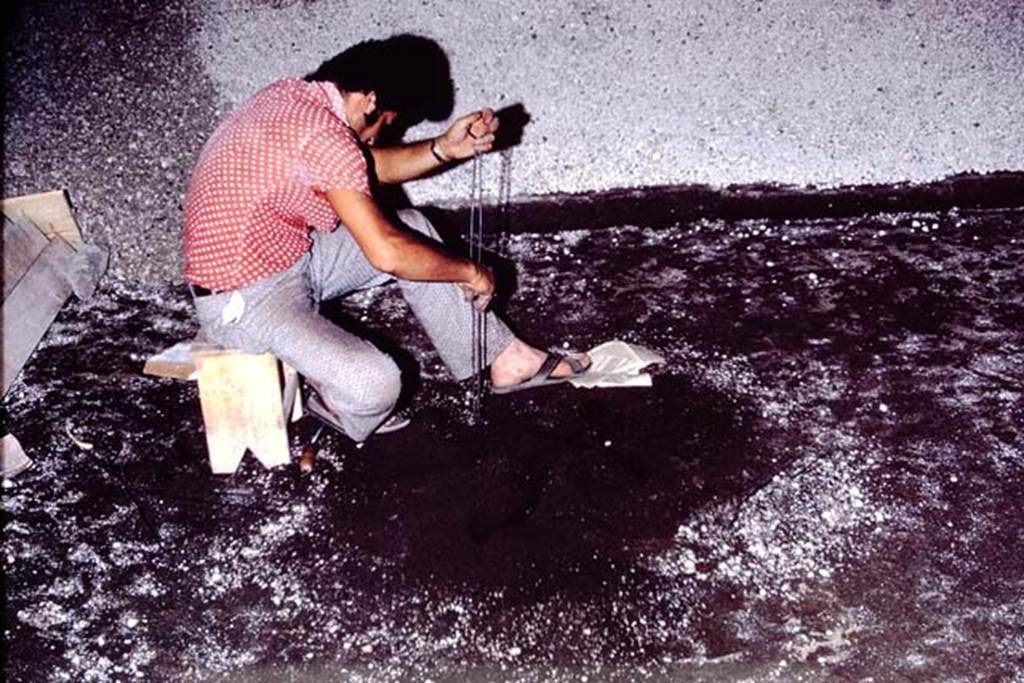 IX.13.1-3 Pompeii, 1973. Cleaning of a root cavity. Photo by Stanley A. Jashemski.
Source: The Wilhelmina and Stanley A. Jashemski archive in the University of Maryland Library, Special Collections (See collection page) and made available under the Creative Commons Attribution-Non Commercial License v.4. See Licence and use details. J73f0309