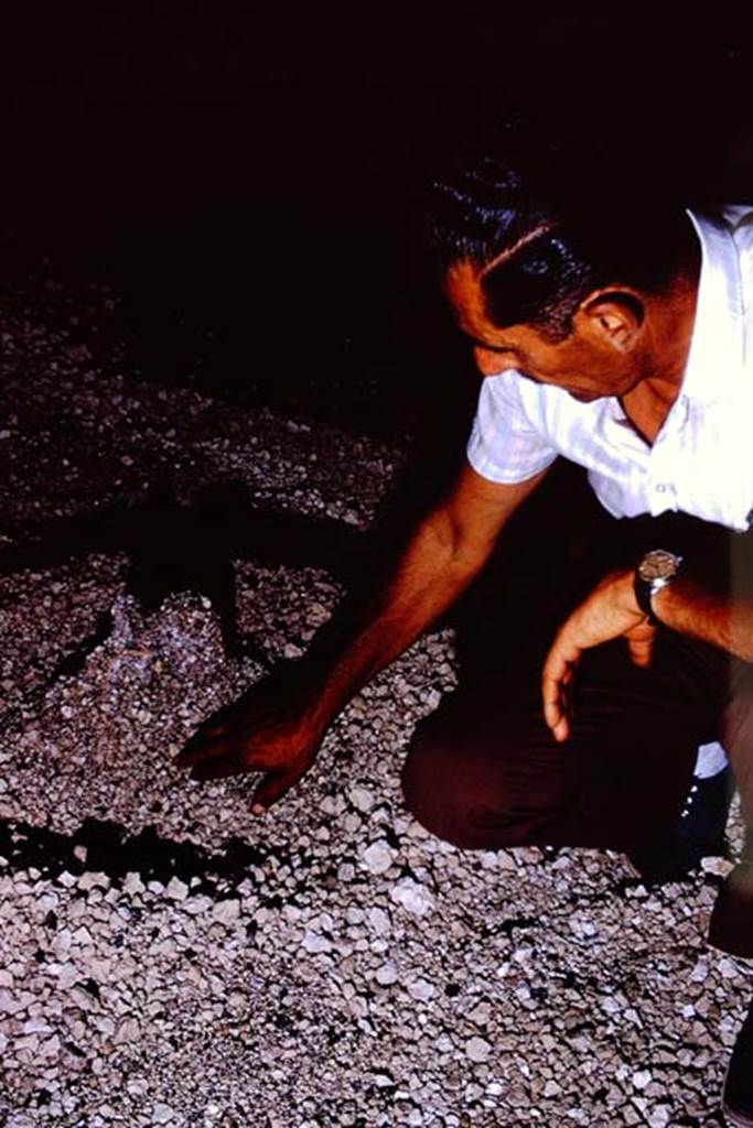 IX.13.1-3 Pompeii, 1973. Discovering carbonized material in the lapilli. Photo by Stanley A. Jashemski.
Source: The Wilhelmina and Stanley A. Jashemski archive in the University of Maryland Library, Special Collections (See collection page) and made available under the Creative Commons Attribution-Non Commercial License v.4. See Licence and use details. J73f0440