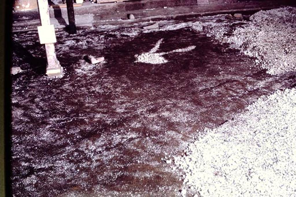 IX.13.1-3 Pompeii, 1973. Looking across peristyle area, showing strange mark in the original soil level. Photo by Stanley A. Jashemski.
Source: The Wilhelmina and Stanley A. Jashemski archive in the University of Maryland Library, Special Collections (See collection page) and made available under the Creative Commons Attribution-Non Commercial License v.4. See Licence and use details. J73f0455