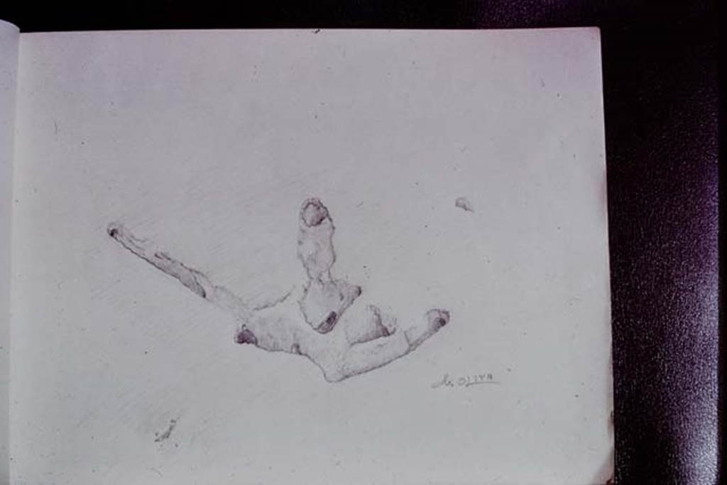 IX.13.1-3 Pompeii, 1973. Sketch of root cavity. Photo by Stanley A. Jashemski.
Source: The Wilhelmina and Stanley A. Jashemski archive in the University of Maryland Library, Special Collections (See collection page) and made available under the Creative Commons Attribution-Non Commercial License v.4. See Licence and use details. J73f0496