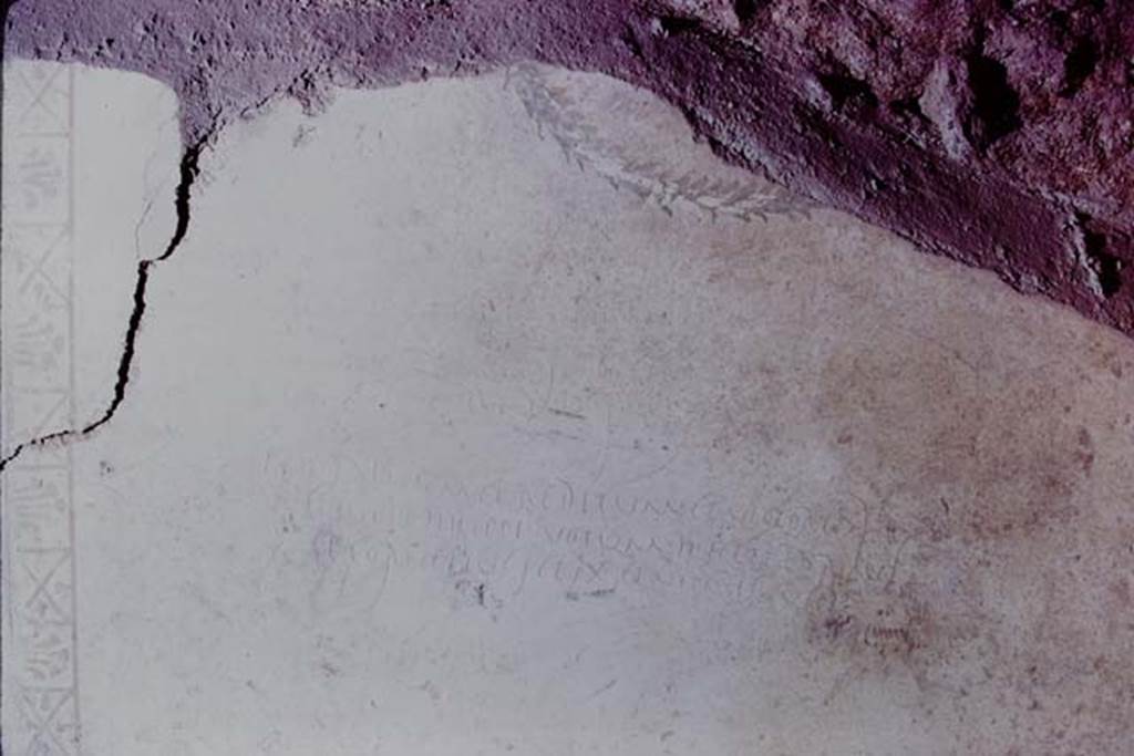 IX.13.1-3 Pompeii, 1973. Graffiti on wall. Photo by Stanley A. Jashemski.
Source: The Wilhelmina and Stanley A. Jashemski archive in the University of Maryland Library, Special Collections (See collection page) and made available under the Creative Commons Attribution-Non Commercial License v.4. See Licence and use details. J73f0509