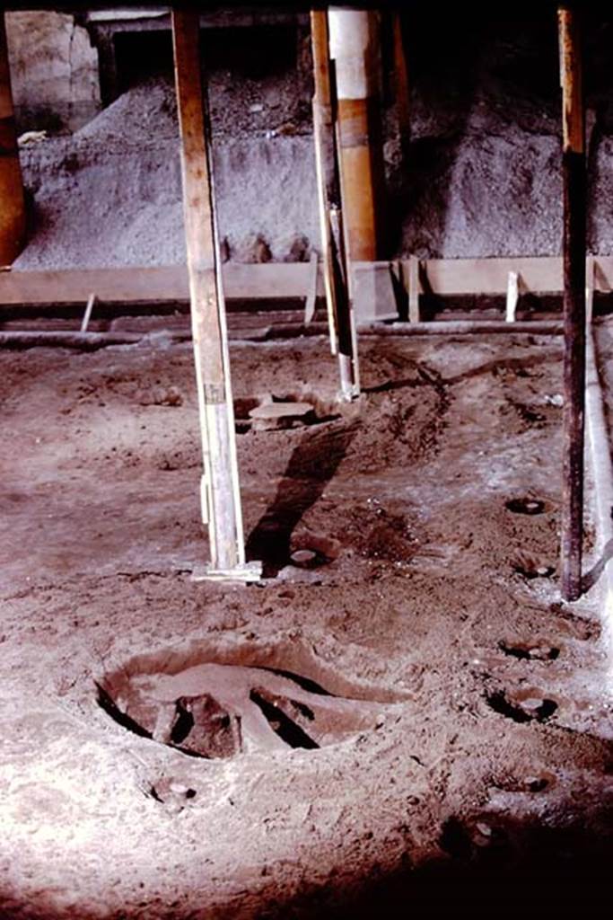 IX.13.1-3 Pompeii, 1973. Filled root cavities in peristyle. Photo by Stanley A. Jashemski.
Source: The Wilhelmina and Stanley A. Jashemski archive in the University of Maryland Library, Special Collections (See collection page) and made available under the Creative Commons Attribution-Non Commercial License v.4. See Licence and use details. J73f0634