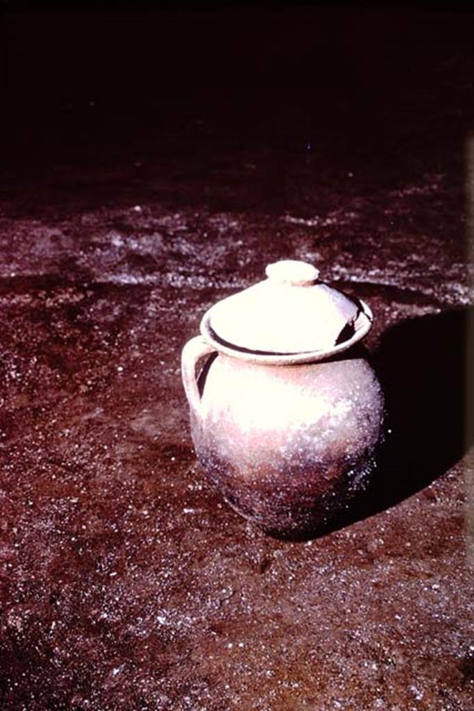 IX.13.1-3 Pompeii, 1973. Pot discovered in peristyle. Photo by Stanley A. Jashemski.
Source: The Wilhelmina and Stanley A. Jashemski archive in the University of Maryland Library, Special Collections (See collection page) and made available under the Creative Commons Attribution-Non Commercial License v.4. See Licence and use details. J73f0643
