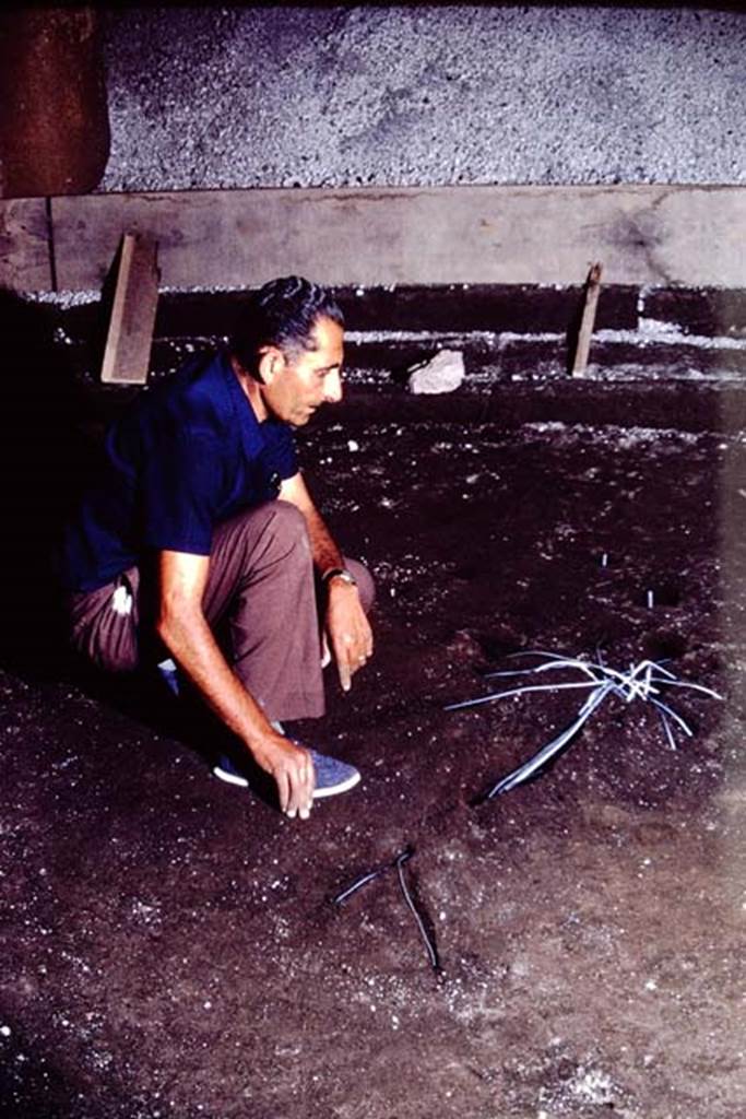 IX.13.1-3 Pompeii, 1973. Cleaned cavity, preparing the reinforcing. Photo by Stanley A. Jashemski.
Source: The Wilhelmina and Stanley A. Jashemski archive in the University of Maryland Library, Special Collections (See collection page) and made available under the Creative Commons Attribution-Non Commercial License v.4. See Licence and use details. J73f0527