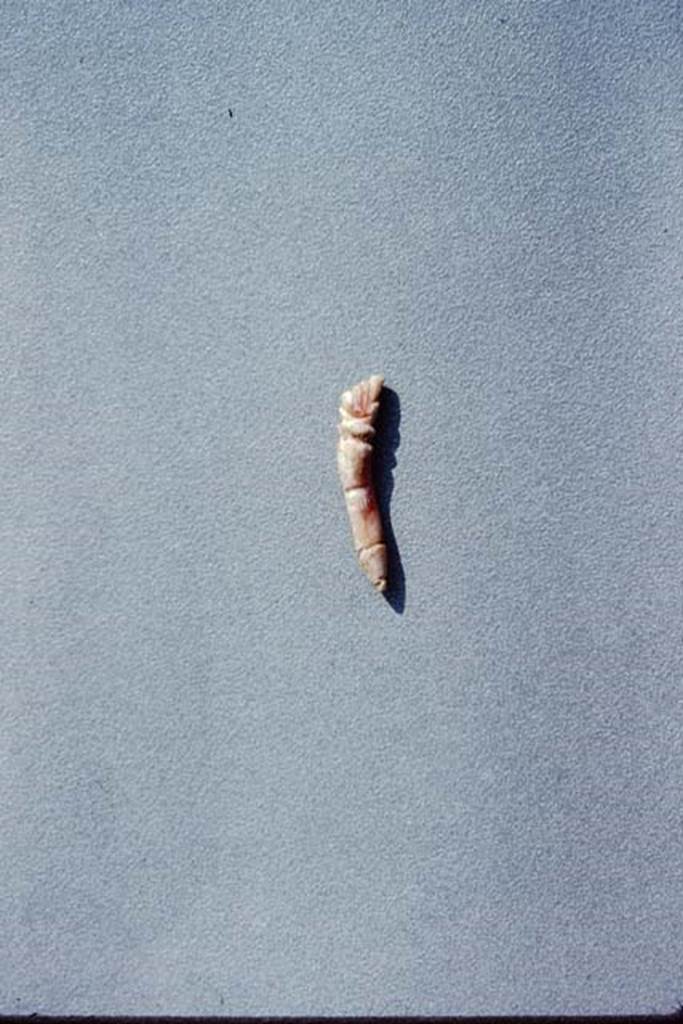 IX.13.1-3 Pompeii, 1973 A small piece of coral, less than one inch in length, carved with a tiny hand at one end and a phallus. Photo by Stanley A. Jashemski.
Source: The Wilhelmina and Stanley A. Jashemski archive in the University of Maryland Library, Special Collections (See collection page) and made available under the Creative Commons Attribution-Non Commercial License v.4. See Licence and use details. J73f0781