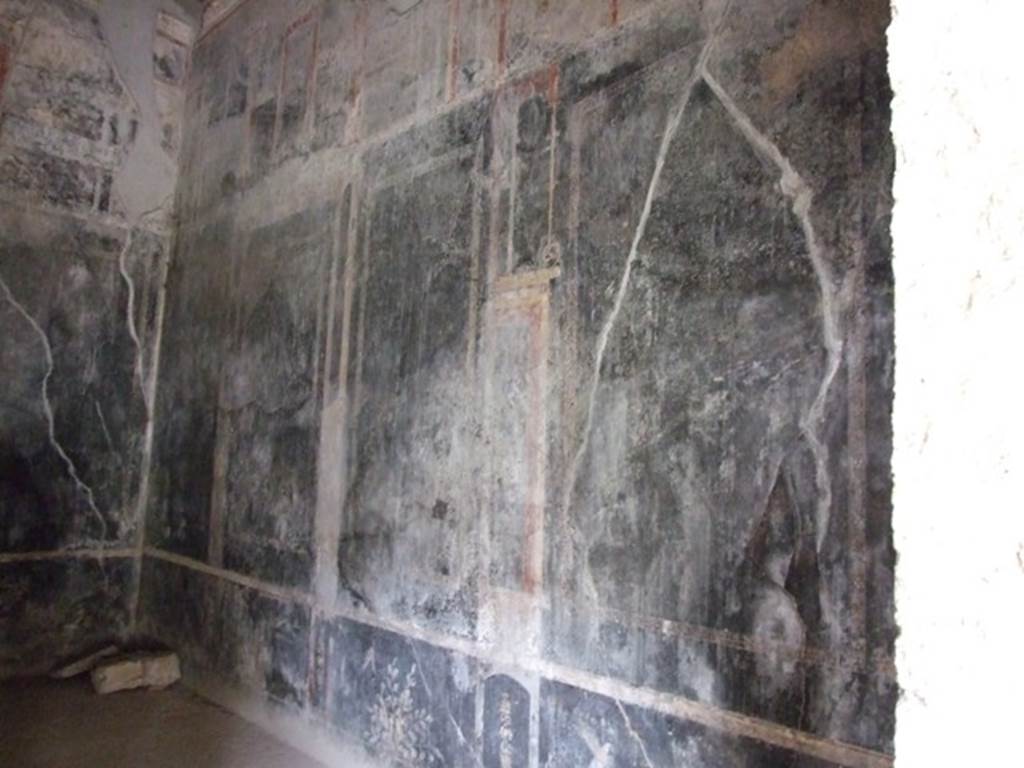IX.13.1-3 Pompeii. March 2009. Room 10, east wall.