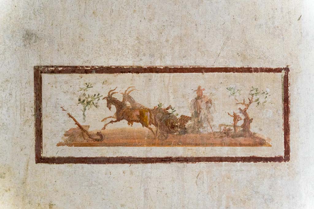 IX.13.1-3 Pompeii. October 2021.
Room 11, painted panel of goats pulling a cart, from south end of east wall. Photo courtesy of Johannes Eber.