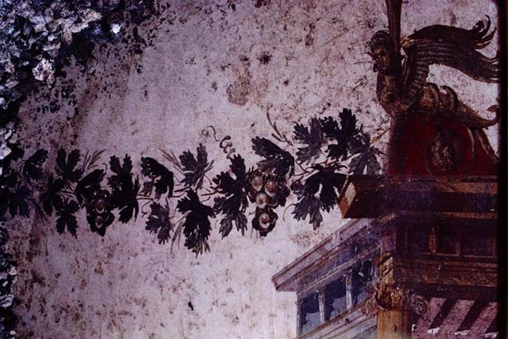 IX.13.1-3 Pompeii. 1972. Room 11, detail from east wall. Photo by Stanley A. Jashemski.
Source: The Wilhelmina and Stanley A. Jashemski archive in the University of Maryland Library, Special Collections (See collection page) and made available under the Creative Commons Attribution-Non Commercial License v.4. See Licence and use details. J72f0446