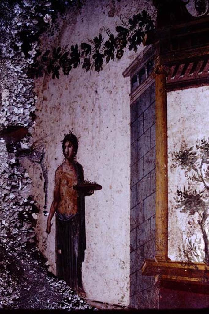 IX.13.1-3 Pompeii. 1972. Room 11, detail from east wall. Photo by Stanley A. Jashemski.
Source: The Wilhelmina and Stanley A. Jashemski archive in the University of Maryland Library, Special Collections (See collection page) and made available under the Creative Commons Attribution-Non Commercial License v.4. See Licence and use details. J72f0445