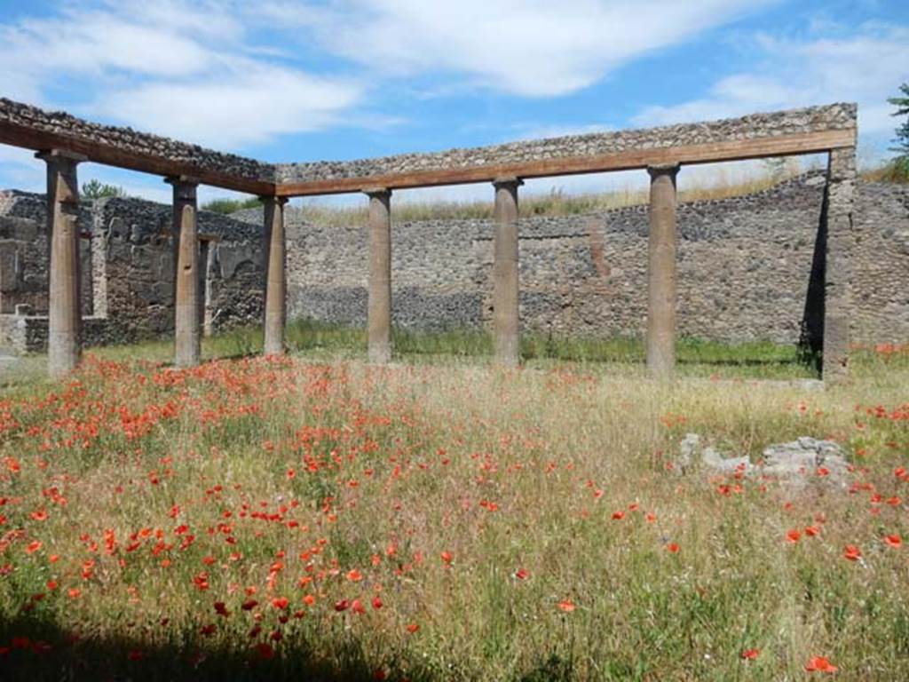 IX.14.4 Pompeii. May2017. Looking towards north-east portico of peristyle 1/garden area, from west side. Photo courtesy of Buzz Ferebee.
According to Jashemski, the large peristyle garden which was excavated in 1910, was surrounded by a portico. The portico was supported by fifteen columns and a pillar. At the rear of the garden was the basin for a fountain. The peristyle garden opened on the south to a further modest garden, numbered 2. This was excavated in 1910/11, and Della Corte suggested it was probably a kitchen garden. At the rear of this garden 2 was a rustic room which Della Corte identified as a kitchen.
See Jashemski, W. F., 1993. The Gardens of Pompeii, Volume II: Appendices. New York: Caratzas. (p.252)
