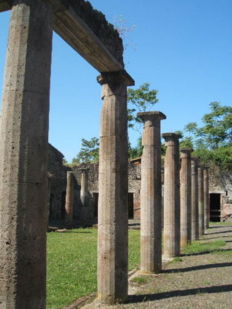 IX.14.4 Pompeii. May 2005. Looking west along ambulatory on north portico of peristyle 1.