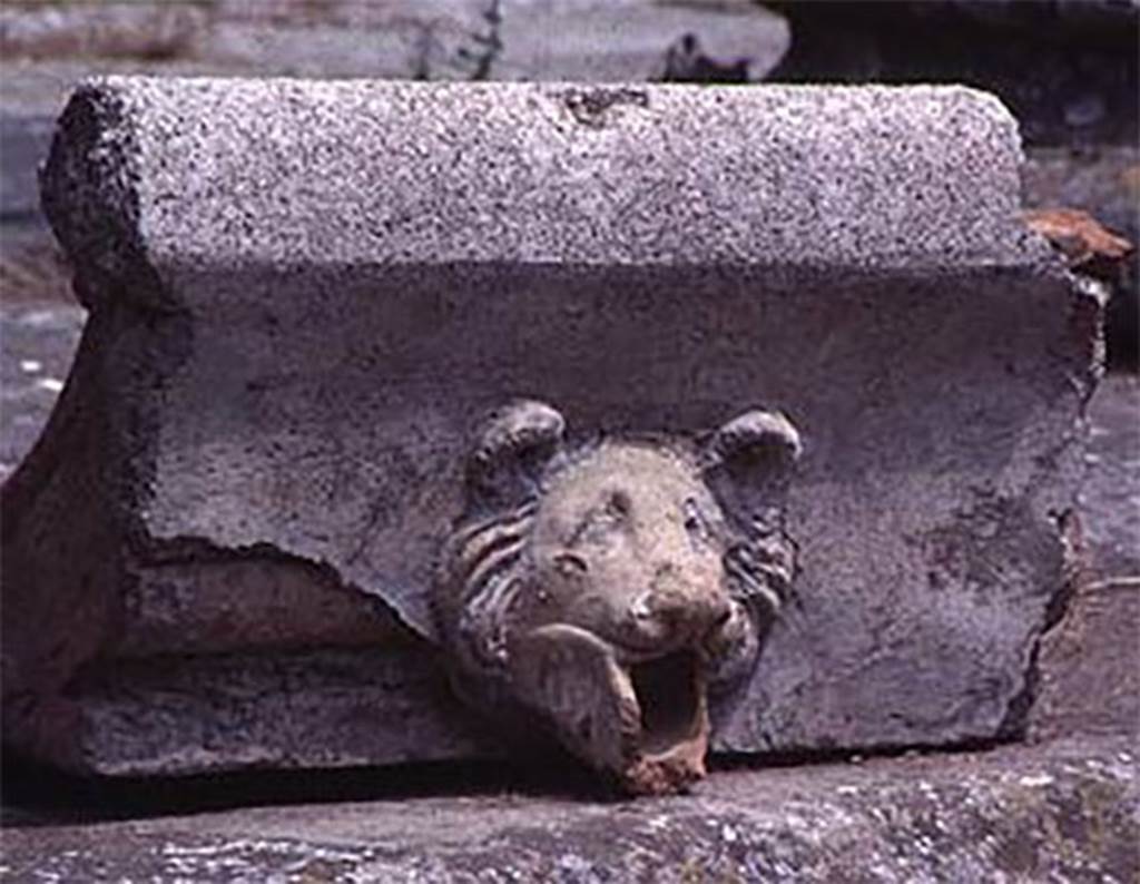 IX.14.4 Pompeii. “Fallen compluvium tile, animal head water spout”, 1993.
Courtesy of Vroma Project.