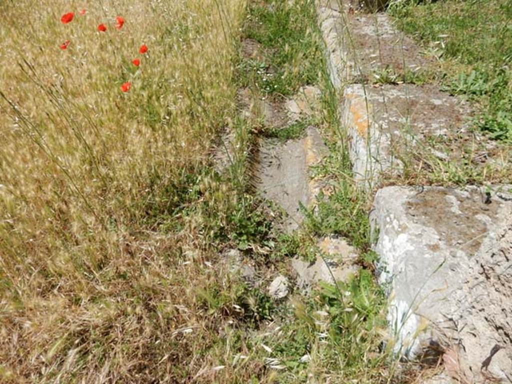 IX.14.4 Pompeii. May 2017. Peristyle gutter. Photo courtesy of Buzz Ferebee.