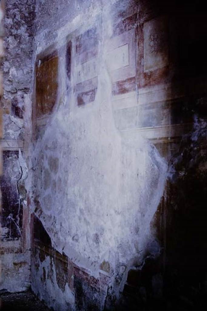 IX.14.4 Pompeii. 1968. Room 15, north wall and north-west corner.
Photo by Stanley A. Jashemski.
Source: The Wilhelmina and Stanley A. Jashemski archive in the University of Maryland Library, Special Collections (See collection page) and made available under the Creative Commons Attribution-Non Commercial License v.4. See Licence and use details.
J68f1541
