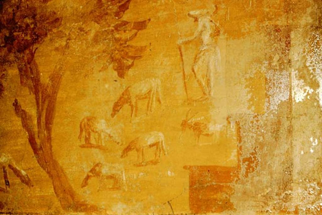 IX.14.4 Pompeii. 1957. Room 15, detail from painted panel at upper west end of north wall. Photo by Stanley A. Jashemski.
Source: The Wilhelmina and Stanley A. Jashemski archive in the University of Maryland Library, Special Collections (See collection page) and made available under the Creative Commons Attribution-Non Commercial License v.4. See Licence and use details.
J57f0313