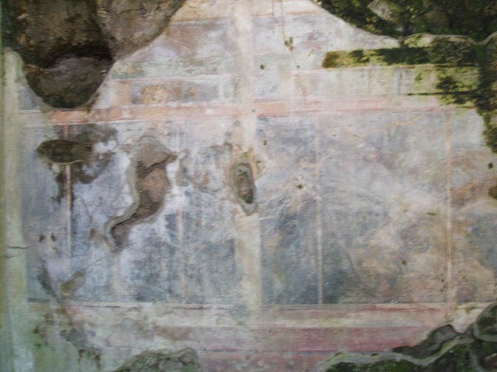 IX.14.4 Pompeii. May 2005. Room 14, oecus with black walls, north wall. According to NdS, found on the north wall was a graffito of a couple of gladiators. The one on the left side was victorious, the other one was dead.