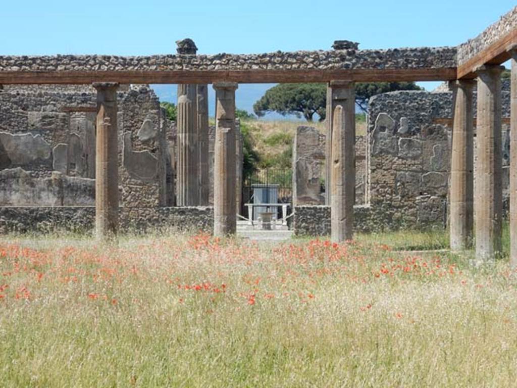 IX.14.4 Pompeii. May 2017. Looking across peristyle towards north portico, and doorway to tablinum and atrium. Photo courtesy of Buzz Ferebee.