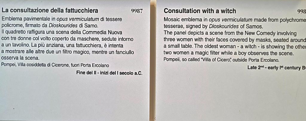 HGW06 Pompeii. September 2024. Information card in Naples Archaeological Museum. Photo courtesy of Giuseppe Ciaramella.