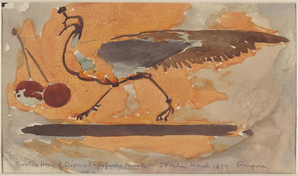 HGW24 Pompeii. c. March 1879. Painting by Sydney Vacher of peacock from centre of panel in the garden arcade.
Photo © Victoria and Albert Museum, inventory number E.4388-1910.
