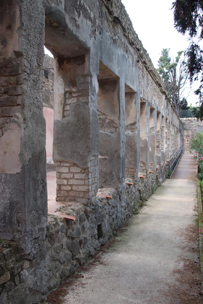 Villa of Diomedes, Pompeii. October 2023.
Looking west along wall of south portico, on garden side. Photo courtesy of Klaus Heese.