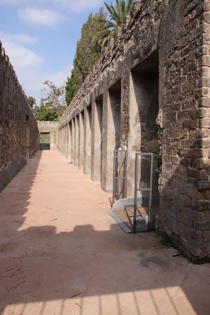 Villa of Diomedes, Pompeii. October 2023. Looking north along west portico. Photo courtesy of Klaus Heese.
(Villa Diomedes Project –area 63, west portico).
(Fontaine, 5c).