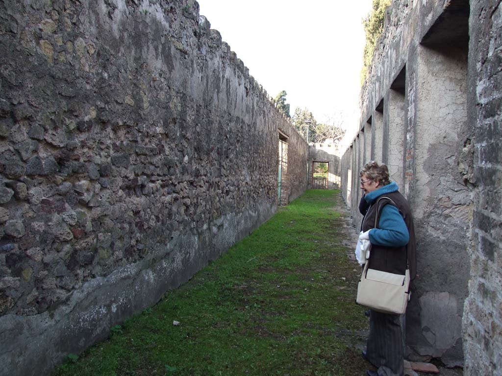 HGW24 Pompeii. December 2006. Looking north along west portico.
In the cellar below the west portico of the garden, nos. 81 and 82 from the La Vega plan were found at this end of it, towards the south-west corner.
However, there appear to be two no.81’s shown on the plan.
This no.81 would seem to be from 9th December 1773, and from the west side of the cellar below the garden area, and said –
From PAH, addendum, p.131 –
Relazione delle antichita, che si vanno ritrovando nella masseria del sig. D. Giovanni Milano parsonaro, che si era principiata al di 14 Febbraro 1771. (Report of Antiquities found.....)
“No.81. nella stessa date. Si e ritrovata una sciva di bronzo, e tra la terra levata di quel sito si sono trovate tre monete, due di diam. on.1, e l’altra di min. 3 e mezza, che per la ruggine non si distinguono. Un pezzo di sciva, il tutto di bronzo. Ed un bottone di vetro.”
(No.79 was dated 9th December 1773 and no.80 (as no.81) was said to be from the same date).
(The other no.81, shown on PAH addendum, p.160 – dated 25th June 1774 would seem to fit in with the dates when the surrounding rooms to it were excavated – but no further details are shown. It was from the corridor at the south end of the east portico of the garden area).
From PAH 1,1, p.276, 8th January 1774: addendum p.131 and p.159
In the present week, we have worked in the cellar of the dwelling outside the Gate of the city.
From PAH, addendum, p.131 –
Relazione delle antichita, che si vanno ritrovando nella masseria del sig. D. Giovanni Milano parsonaro, che si era principiata al di 14 Febbraro 1771. (Report of Antiquities found.....)
“No. 82. A di 5 gennaio 1774. Si e trovato un pezzo di serratura di bronzo.”