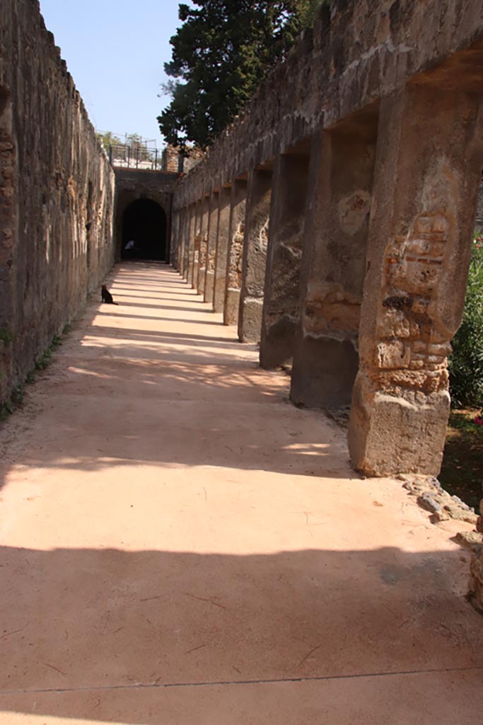 Villa of Diomedes, Pompeii. October 2023.
Looking east along north portico. Photo courtesy of Klaus Heese.