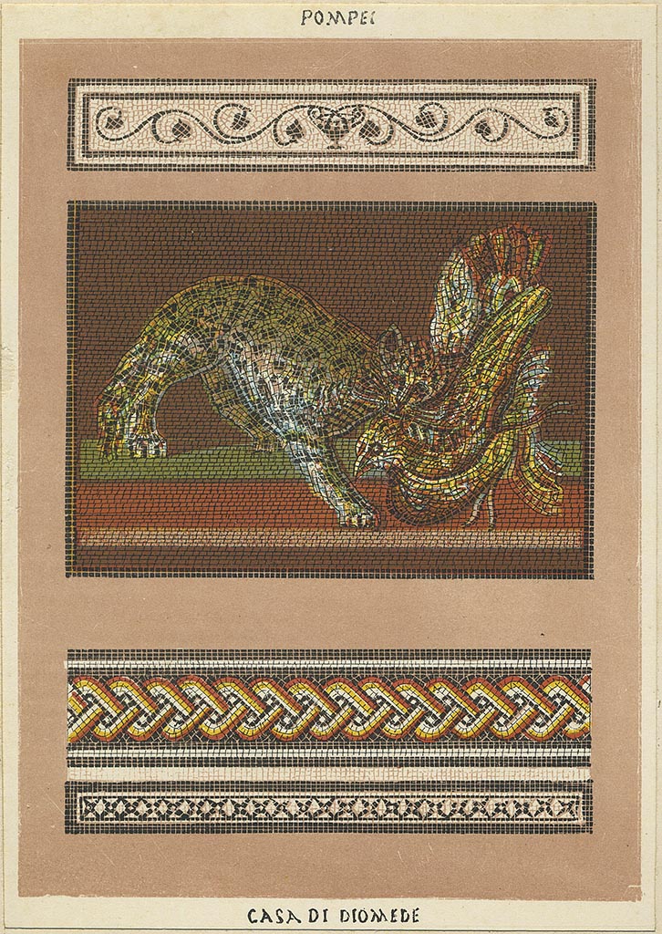 HGW24 Pompeii. 1875 lithograph showing mosaics from Villa of Diomedes. Photo courtesy of Rick Bauer.