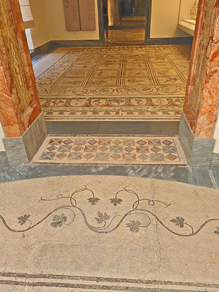 Mosaic floor in Naples Archaeological Museum,
Room CXXXIV (134), looking from doorway threshold and room CXXXV (135). June 2024. Photo courtesy of Giuseppe Ciaramella.
According to Abbate - in the index for the 1859 edition -
No.96 would appear to be a mosaic floor, as seen in the centre of the above floor.
In the index it is provenanced from the Villa of Diomedes at Pompeii?
No.97 would appear to be the above border/edge of the mosaic floor and is also said to be from Villa of Diomedes.
See Raccolta de più interessante Dipinture e di più belle Musaici rinvenuti negli Scavi di Ercolano, di Pompei, e di Stabia. 1859. Napoli.
By the 1865 and 1871 edition with index, these mosaics are just quoted as being from Pompeii.
However, the border/edge may be from VI.17.9/10 (?).
Both mosaics are now set in the floor of the Naples Museum, in the pinacoteca, sala 4.
See Allroggen-Bedel - Die malereien aus dem Haus Insula Occidentalis 10, (page 163-5).
(Note: Now in Room CXXXIV, (134).
