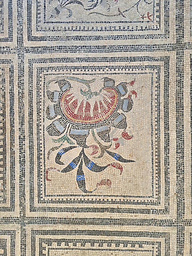 Villa of Diomedes ? or VI 17.10 Pompeii ?. June 2024.
Detail from one of the colourful mosaic panels in the centre of floor in room CXXXIV (134) of Naples Archaeological Museum.
Photo courtesy of Giuseppe Ciaramella