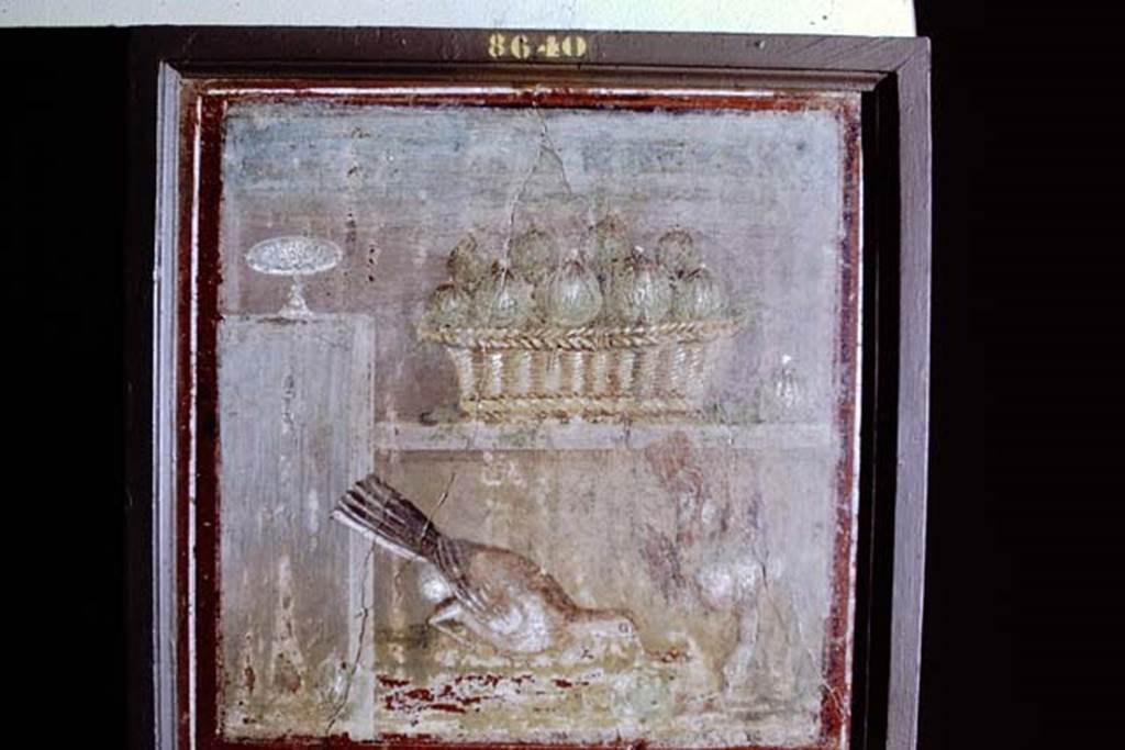 HGW24 Pompeii. Pompeii, 1968. Painting of basket of figs with two dead birds, found 9th March 1771. Photo by Stanley A. Jashemski.
Source: The Wilhelmina and Stanley A. Jashemski archive in the University of Maryland Library, Special Collections (See collection page) and made available under the Creative Commons Attribution-Non Commercial License v.4. See Licence and use details.
J68f0788
Now in Naples Archaeological Museum. Inventory number 8640.
(according to Fontaine, found in room 4,2 the tablinum).