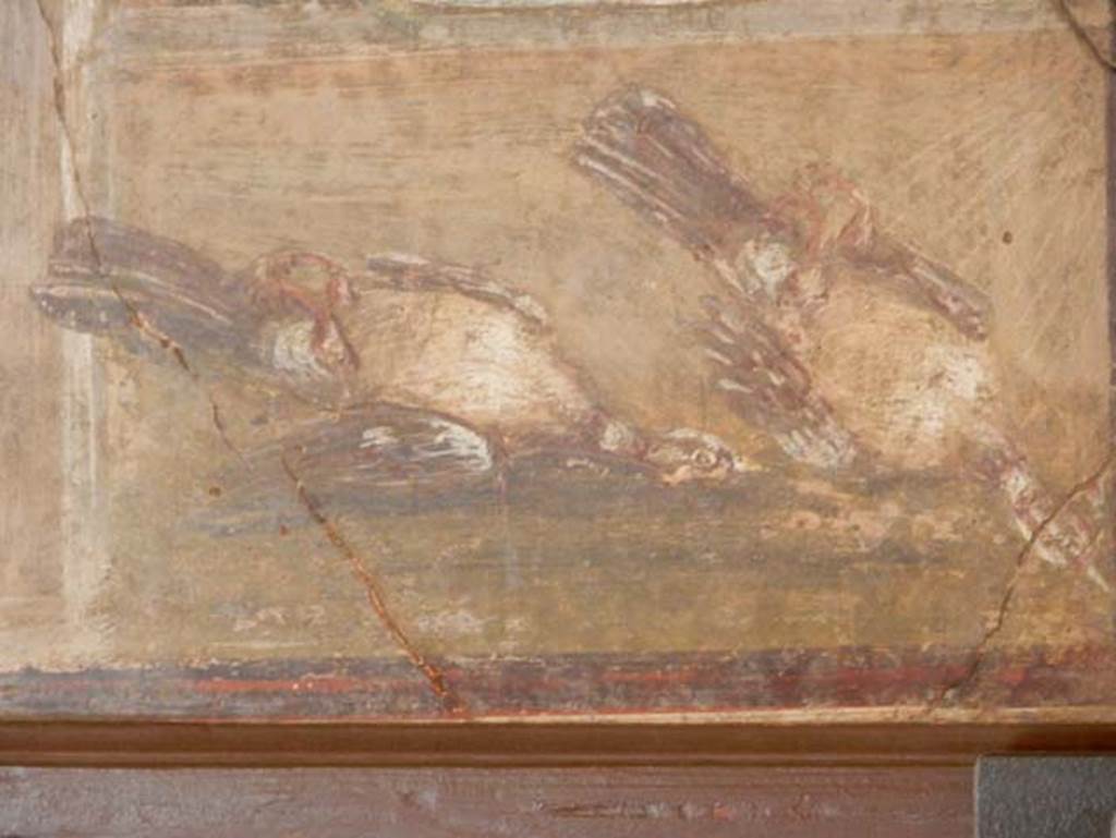 HGW24 Pompeii. May 2016. Detail of two dead birds, from above painting.
Now in Naples Archaeological Museum, inventory number 8634. Photo courtesy of Buzz Ferebee.
Foodstuffs%20exhibit%20Ferebee%20May%202016%20DSCN8253