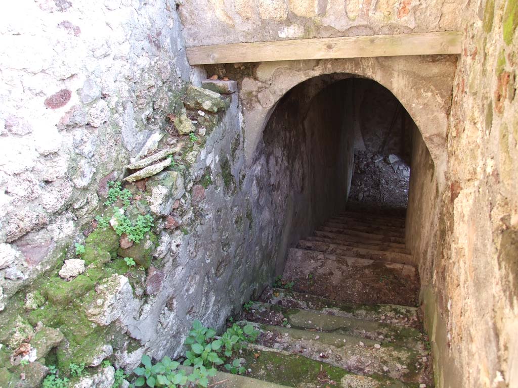 HGW24 Pompeii. December 2006. Looking south down stone staircase to lower cellar level.
(Villa Diomedes Project – area to south of number 38).
(Fontaine, stairs to south of room 4,6)
At the base of the stairs in the cellar, no. 96 was found according to the plan of La Vega.
PAH 1,1, p.279-80, 26th November 1774: addendum p.133 and p.160 (see no. 96 below, on the plan by La Vega).
We continue to lift the earth from the said roadway, and in the rainy days we work in the cellar of the same dwelling, which cellar was entirely freed, and here we have found: Bronze, (for finds see pages 279-80).…. Glass: A square jug with a handle.
All these things have been sent to the Museum, together with two pieces that are believed to be of bread, and some sods of earth with the impressions and remains of cloth nearly incinerated.