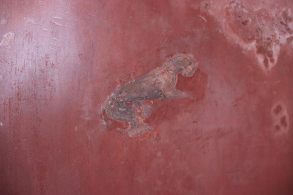 HGW24 Pompeii. Villa of Diomedes. October 2023.
East wall at south end, detail of painted panther from centre of panel. Photo courtesy of Klaus Heese.
(Villa Diomedes Project – area 61).
(Fontaine, room 5,13).
