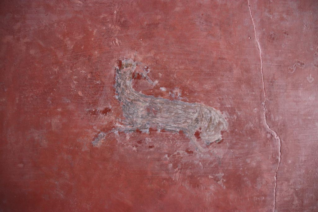 HGW24 Pompeii. Villa of Diomedes. October 2023.
South wall at east end, detail of painted animal in centre of panel. Photo courtesy of Klaus Heese.
(Villa Diomedes Project – area 61).
(Fontaine, room 5,13).