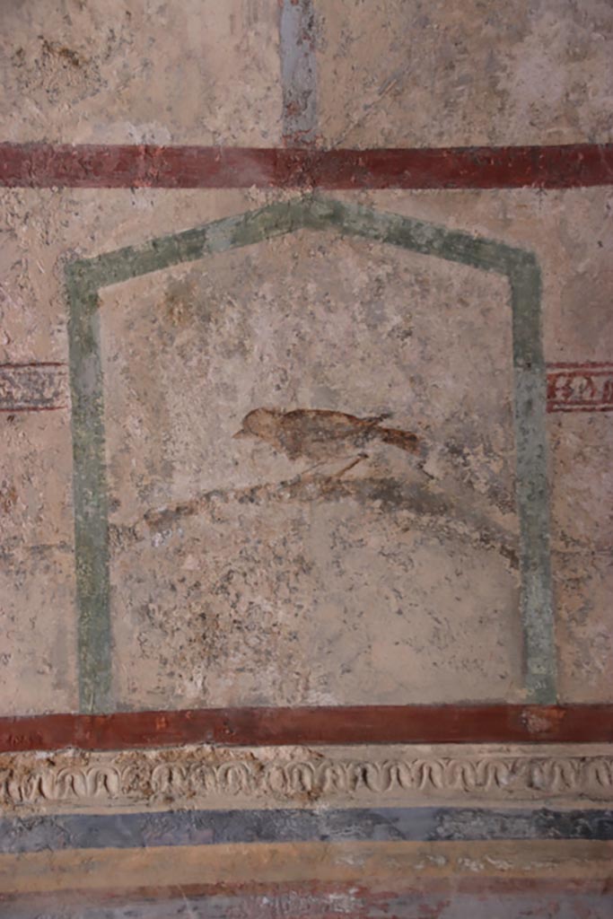 HGW24 Pompeii. Villa of Diomedes. October 2023.
Detail of painted bird on south side of vaulted ceiling. Photo courtesy of Klaus Heese.
(Villa Diomedes Project – area 61).
(Fontaine, room 5,13).