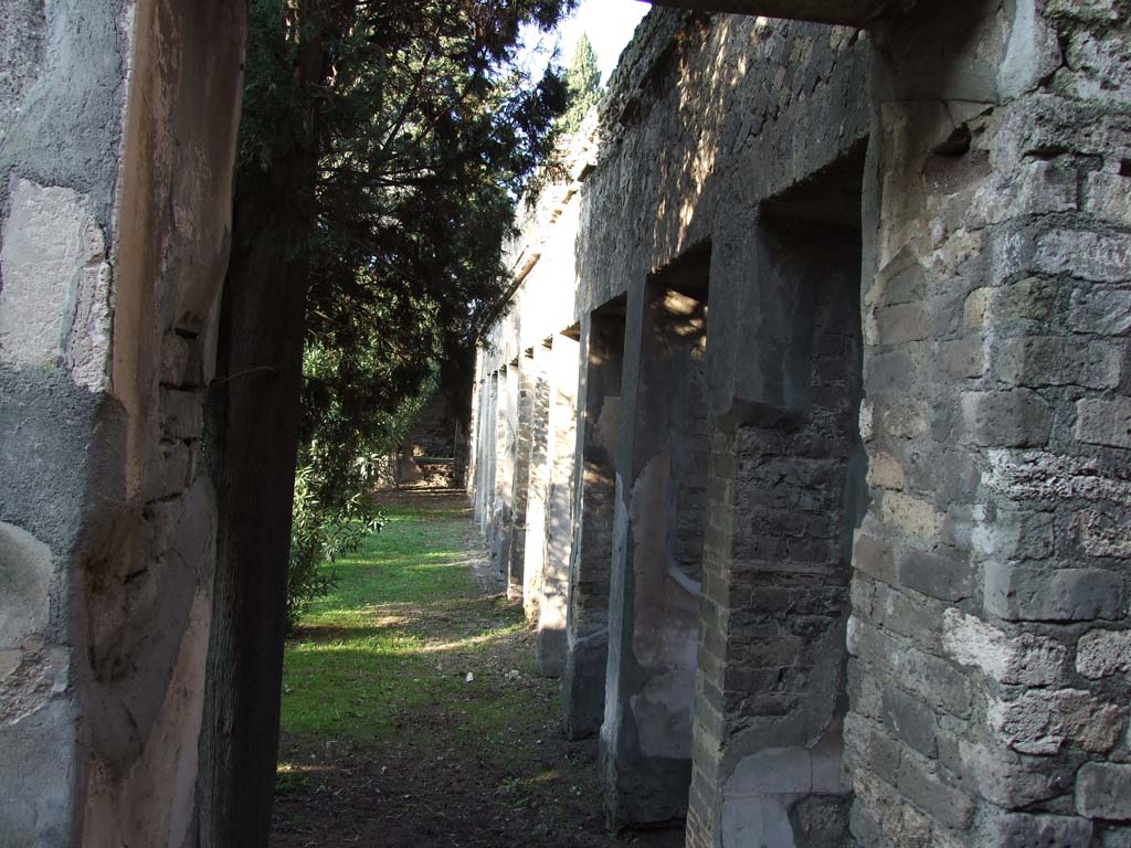 HGW24 Pompeii. December 2006. Looking north along garden side of east portico, from south-east corner.
No.89, 77 and 54 on the plan by La Vega, were found along this side of the east portico.