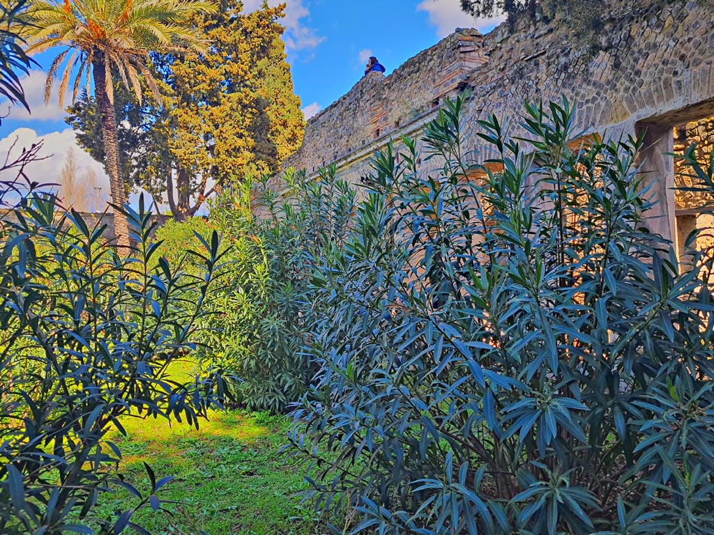 Villa of Diomedes, Pompeii. March 2024.
Looking north along west (garden) side of east portico, towards upper floor. Photo courtesy of Giuseppe Ciaramella.