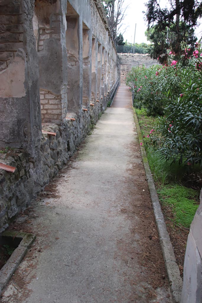 Villa of Diomedes, Pompeii. October 2023.
Looking west in garden along the south portico. Photo courtesy of Klaus Heese.