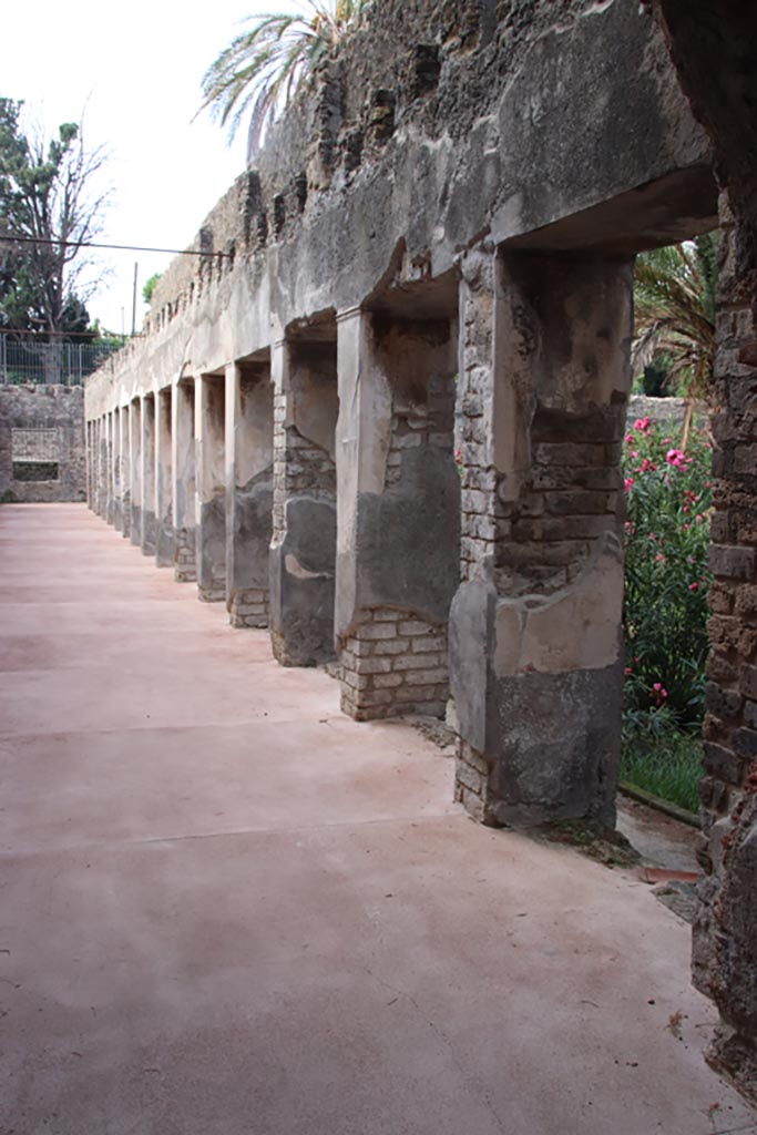 Villa of Diomedes, Pompeii. October 2023.
Looking west along north side of portico. Photo courtesy of Klaus Heese.