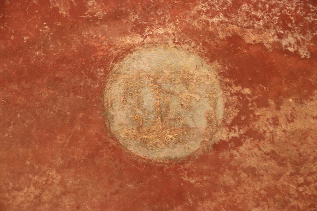 Villa San Marco, Stabiae, October 2020. Portico 20/5, detail of medallion on north wall in north-east corner. Photo courtesy of Klaus Heese.