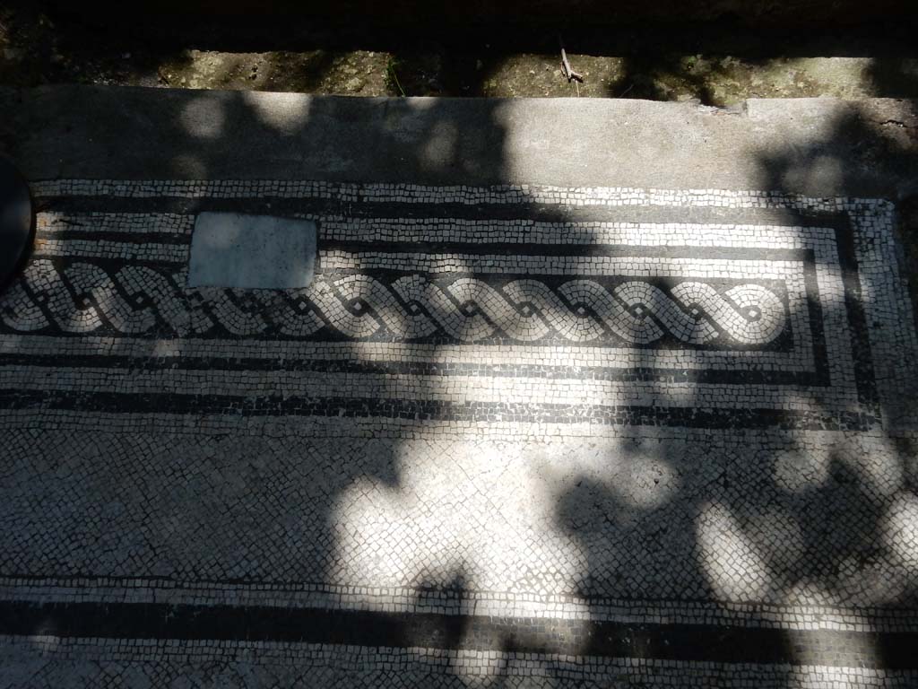 Villa San Marco, Stabiae, June 2019. North portico 5, west side, mosaic threshold between columns.
Photo courtesy of Buzz Ferebee