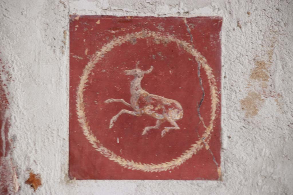 Villa San Marco, Stabiae, September 2019.
Room 8, south wall, detail of deer in centre of red panel, to right of doorway into room 12. Photo courtesy of Klaus Heese.
.