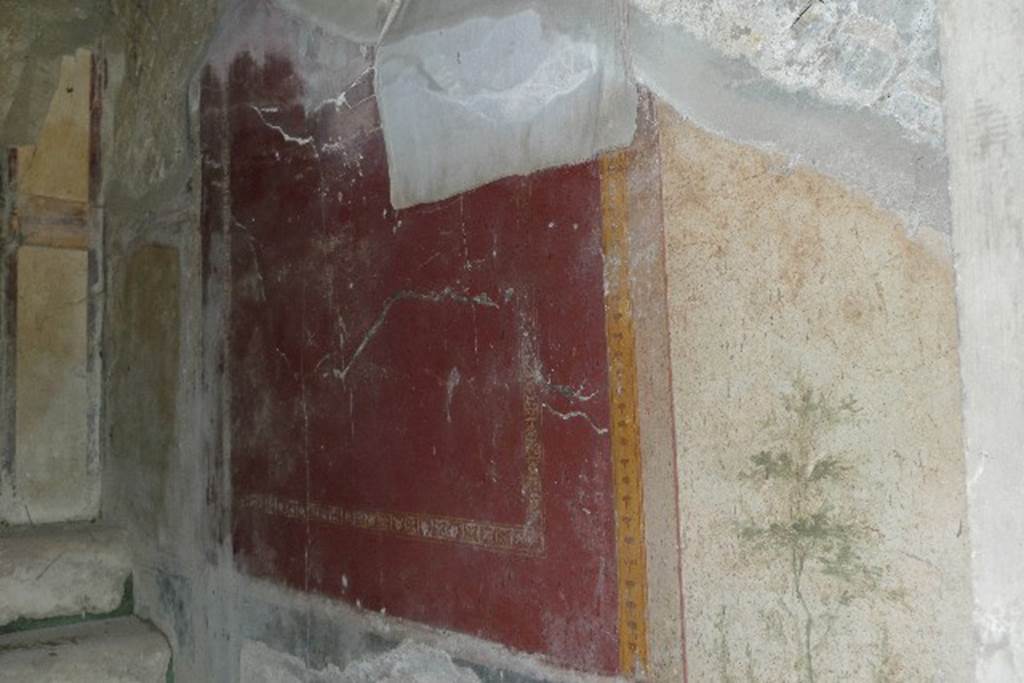 Castellammare di Stabia, Villa San Marco, July 2010. Room 13, wall on north-west side of steps. Photo courtesy of Michael Binns.