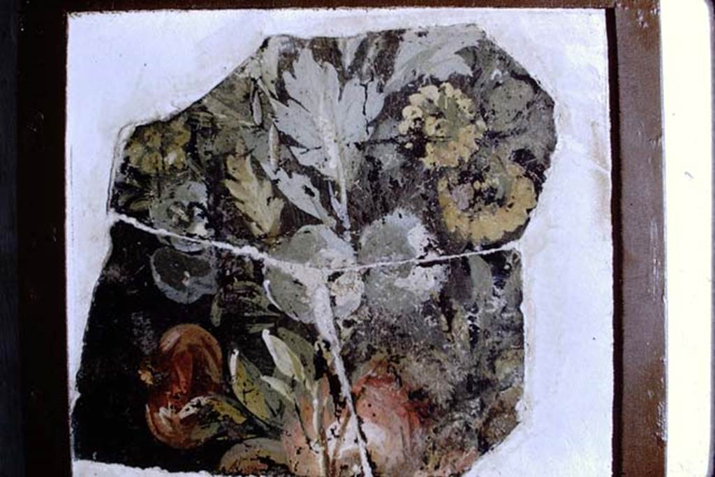 Villa San Marco, Stabiae, 1968. Room 13. Fragment showing garden detail. Photo by Stanley A. Jashemski.
Source: The Wilhelmina and Stanley A. Jashemski archive in the University of Maryland Library, Special Collections (See collection page) and made available under the Creative Commons Attribution-Non Commercial License v.4. See Licence and use details.
J68f1869
According to Sodo, this fragment was from room 13.
Stabia Antiquarium. Inventory number 63868.
See Guzzo P., Bonifacio G. and Sodo A.M. (a cura di), 2007. Otium Ludens: Stabiae - at the heart of the Roman empire. Hermitage Museum. Stabia: Nicola Longobardi, p. 115.