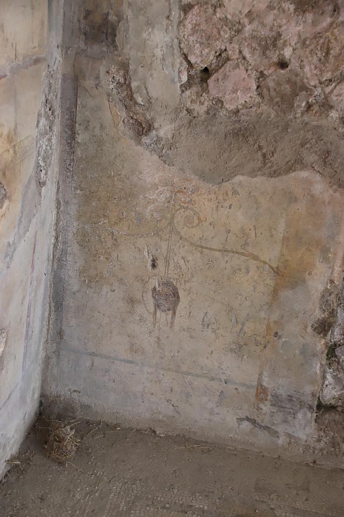 Villa San Marco, Stabiae, October 2022.
Room 12, lower north wall between doorways. Photo courtesy of Klaus Heese.